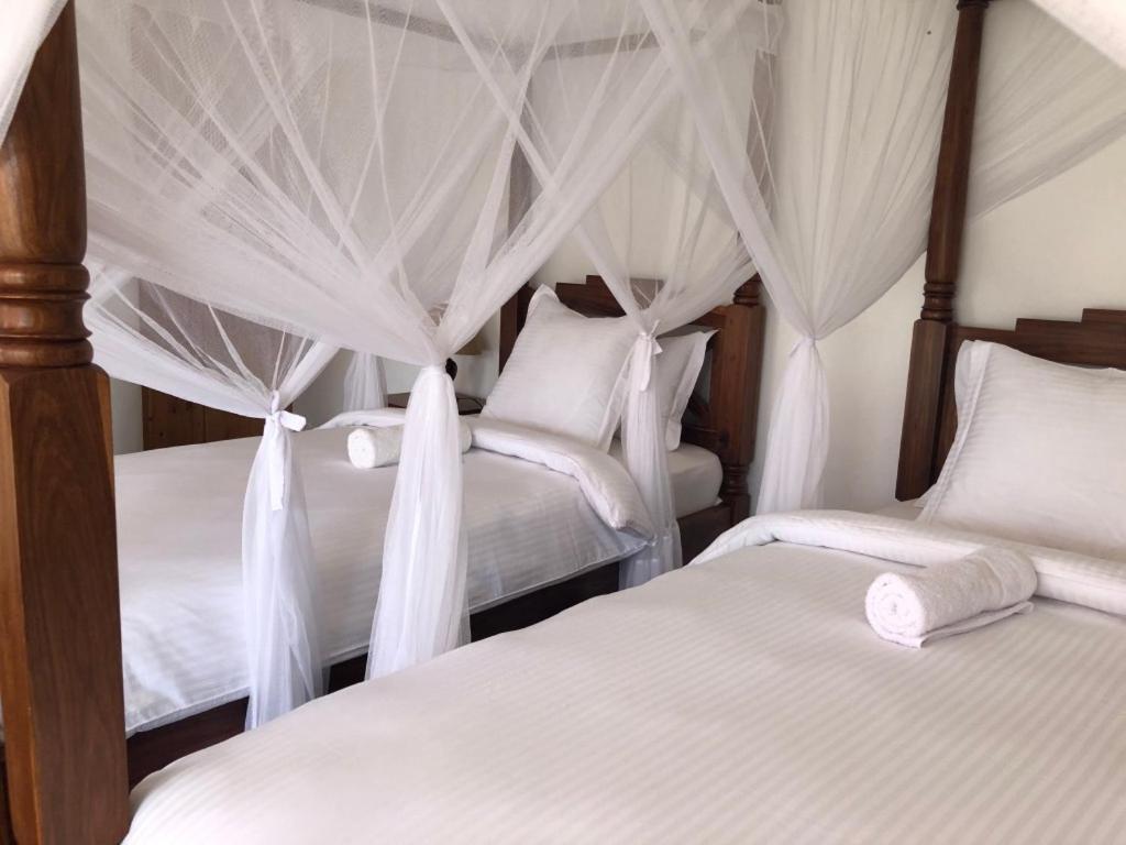 ארושה Bird Of Paradise Eco Lodge מראה חיצוני תמונה